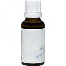 ECHINACEA D 2 Dilution 20 ml