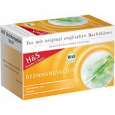 H&S BACHBL BEZIEHUNGSGLUEC