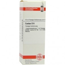 CACTUS D 6 Dilution 20 ml