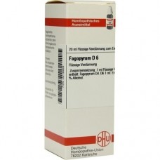 FAGOPYRUM D 6 Dilution 20 ml