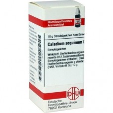 CALADIUM seguinum D 12 Globuli 10 g