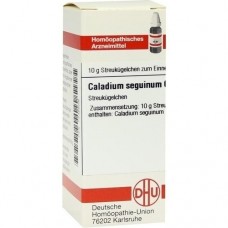 CALADIUM seguinum C 6 Globuli 10 g