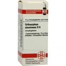 ORTHOSIPHON STAMINEUS D 6 Globuli 10 g