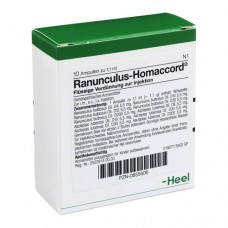 RANUNCULUS HOMACCORD Ampullen 10 St