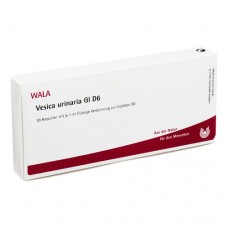 VESICA URINARIA GL D 6 Ampullen 10X1 ml