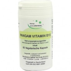 PANGAM Vitamin B15 Kapseln 60 St